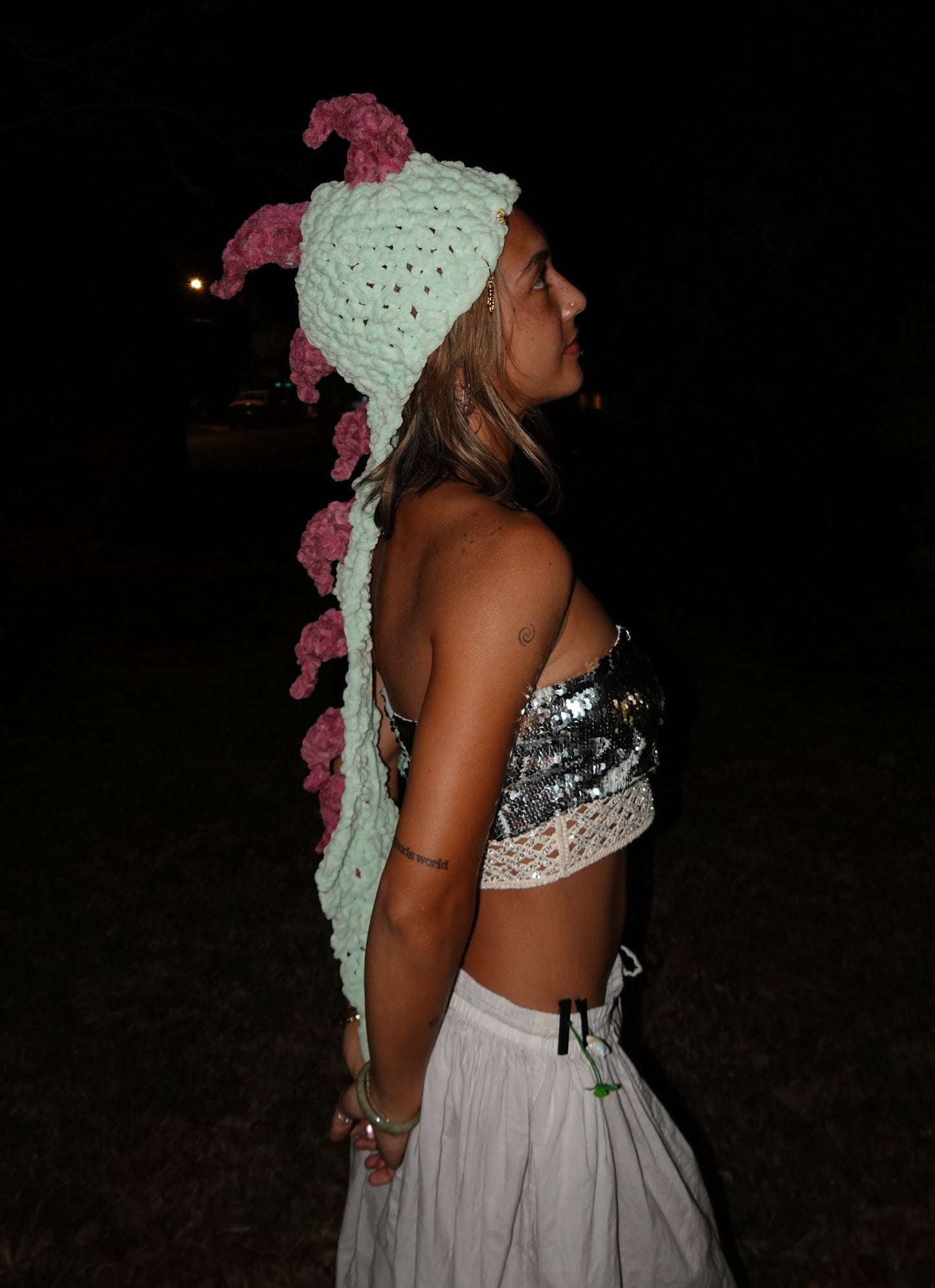 Disco dino-tail