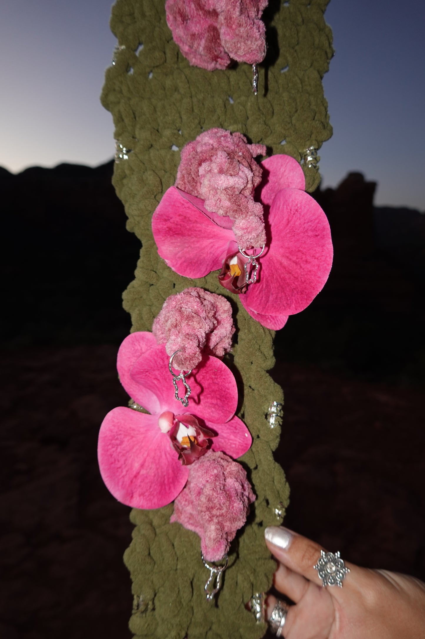 OG orchid dino-tail